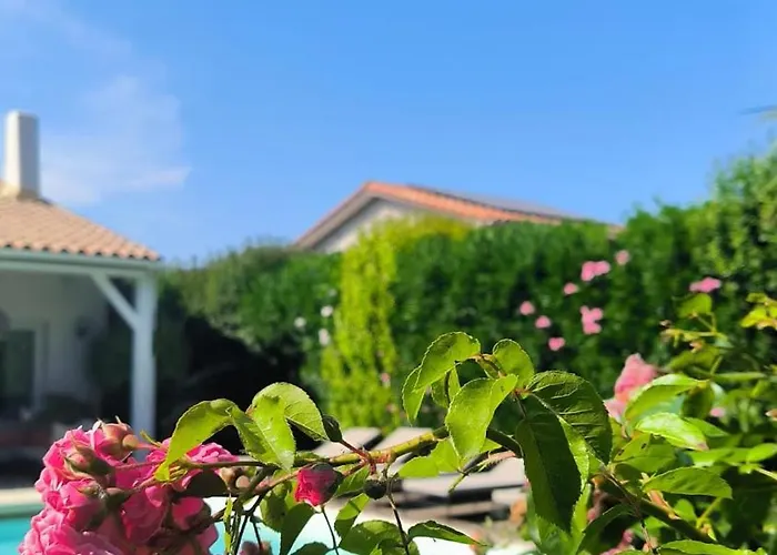 De Charme Avec Piscine Et Jardin En Bord De *